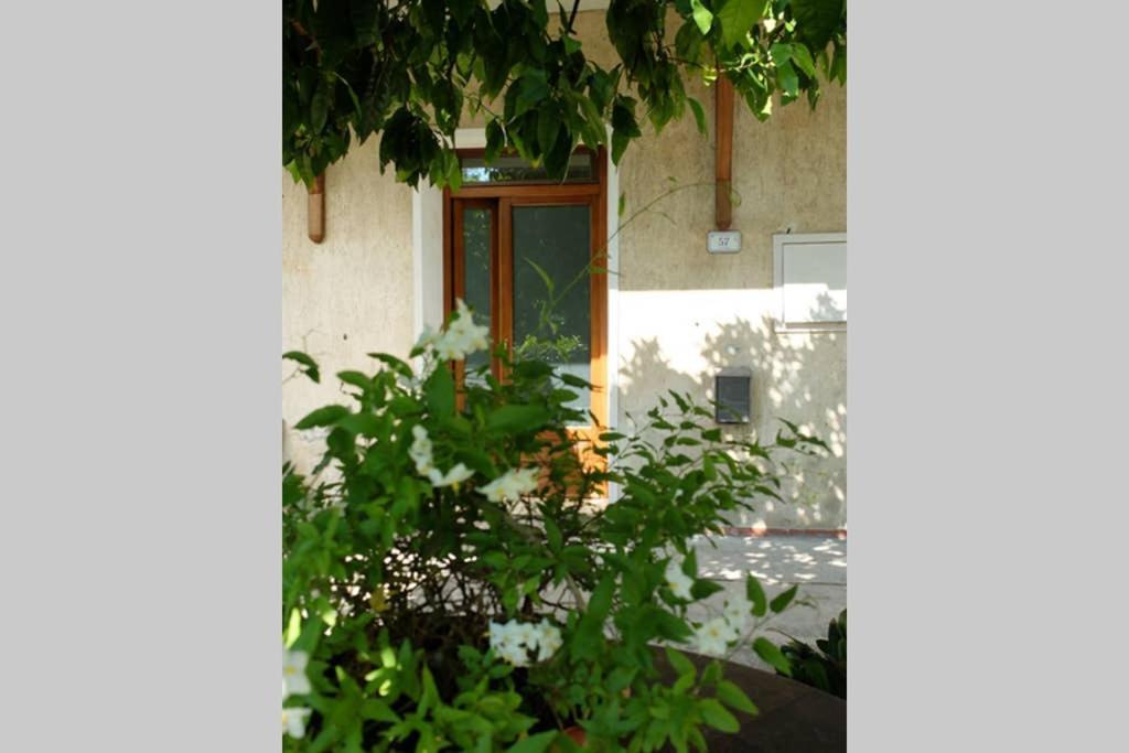 La casina di Bruna Mommio Esterno foto