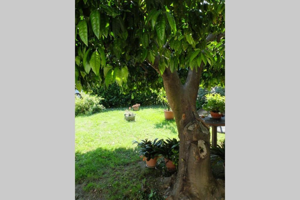La casina di Bruna Mommio Esterno foto