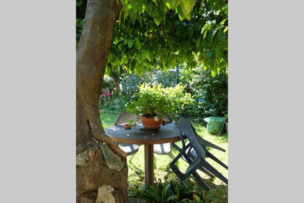 La casina di Bruna Mommio Esterno foto