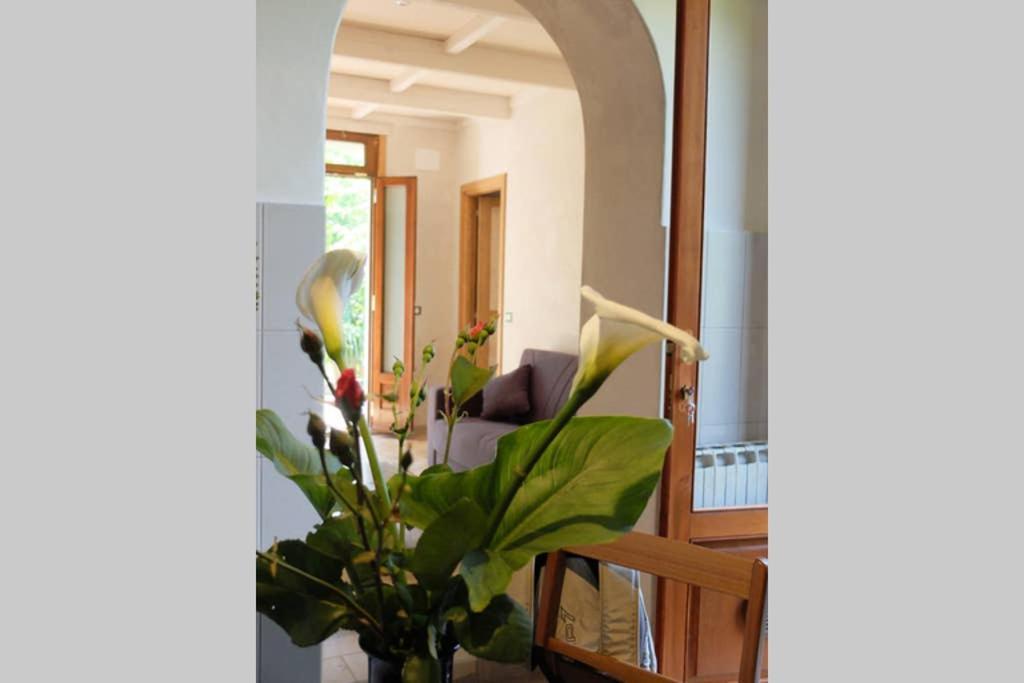La casina di Bruna Mommio Esterno foto
